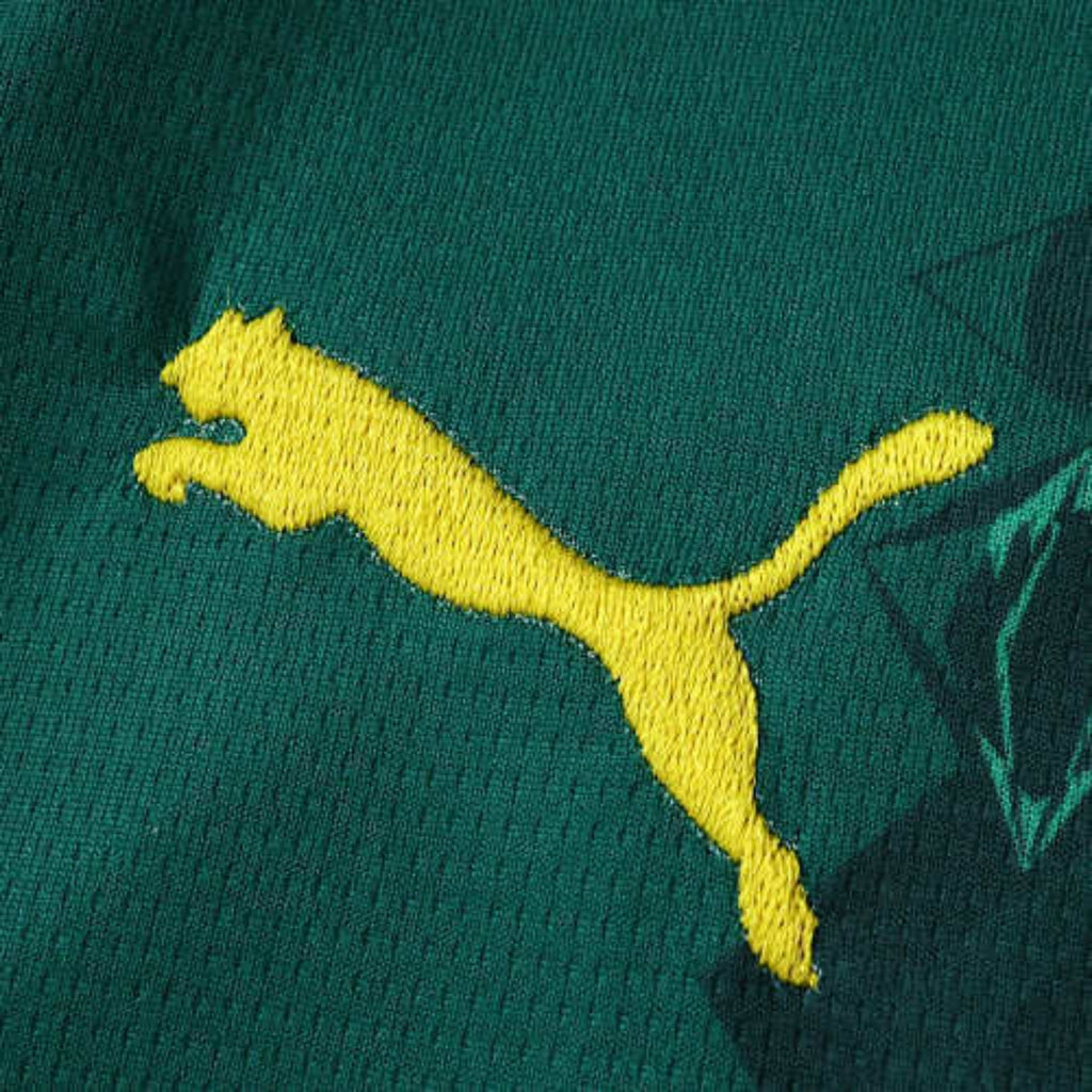 Senegal Home 26/27 Football jersey - Senegal Domicile 26/27 - Coupe du Monde 2026