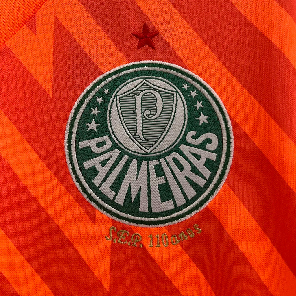 Palmeiras Goleiro 24/25