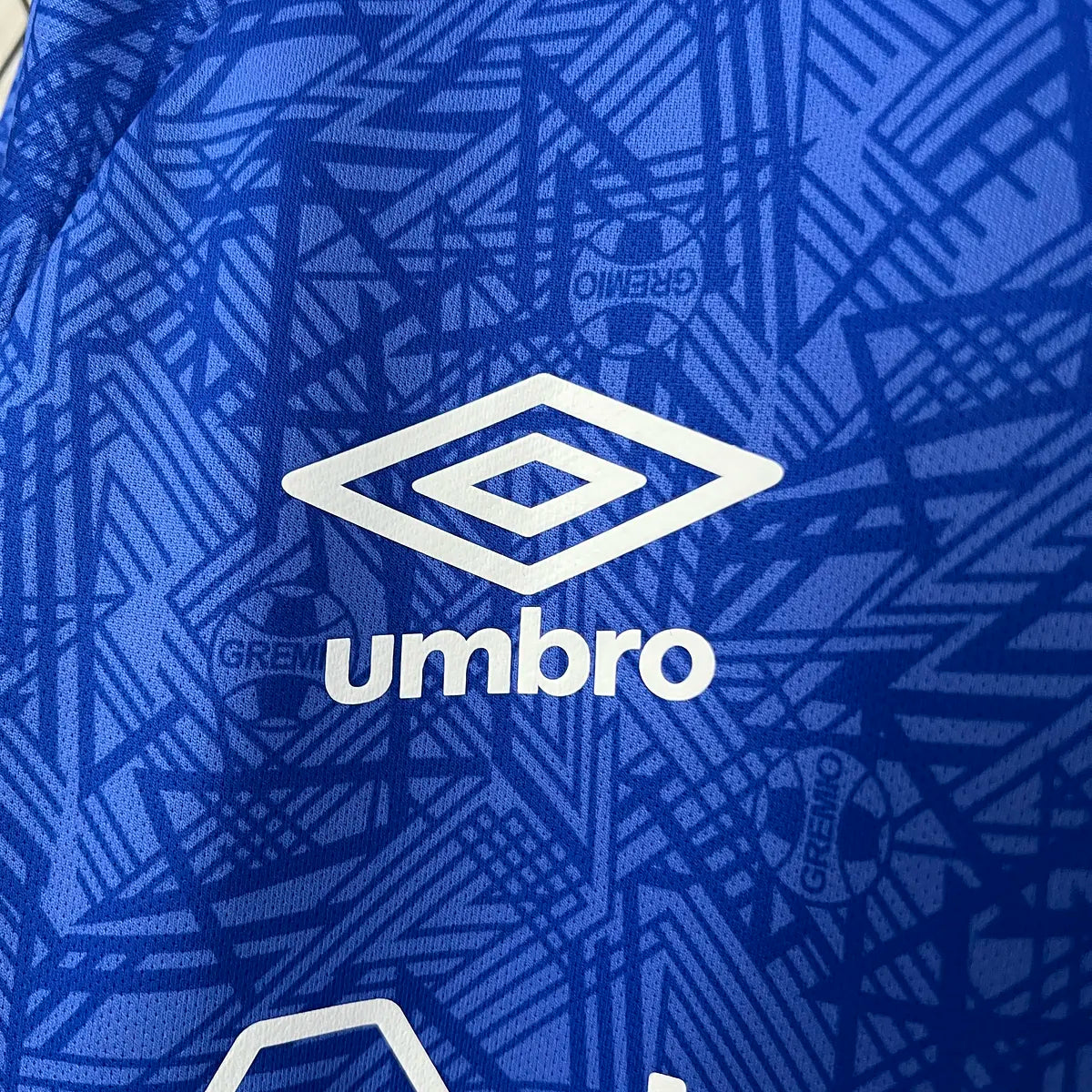 Grêmio Treino 24/25