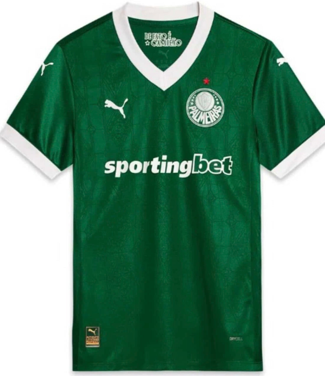 Palmeiras Special-edition 24/25 Football jersey - Palmeiras 2025/26