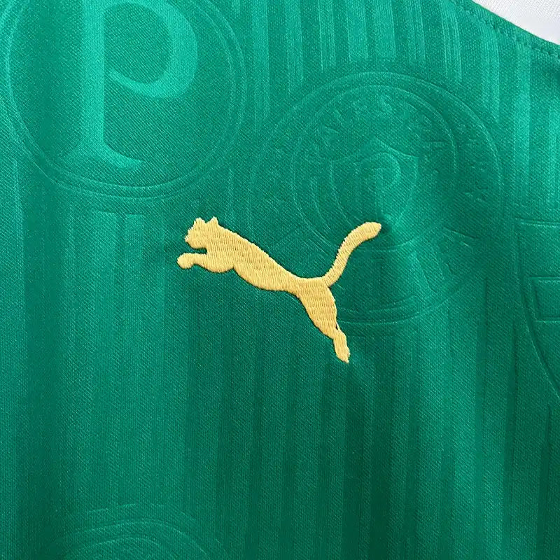 Palmeiras Treino 23/24 - Regata