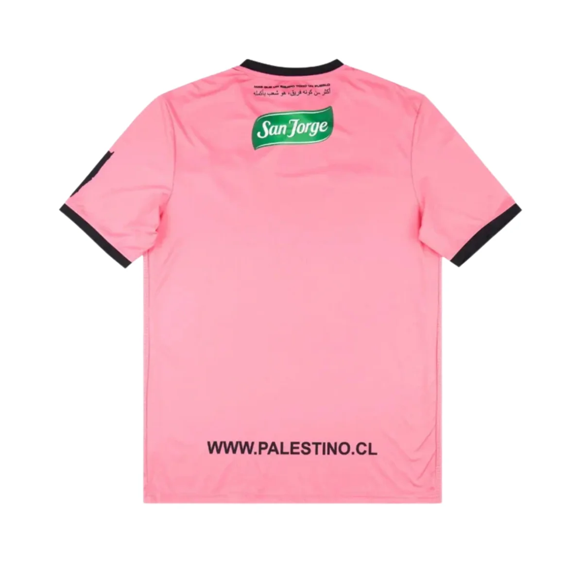 Special-edition 24/25 Football jersey - CD Palestino Edição Especial 24/25