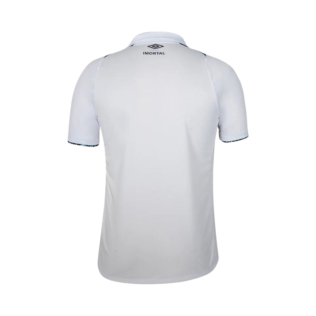 Grêmio Away 24/25