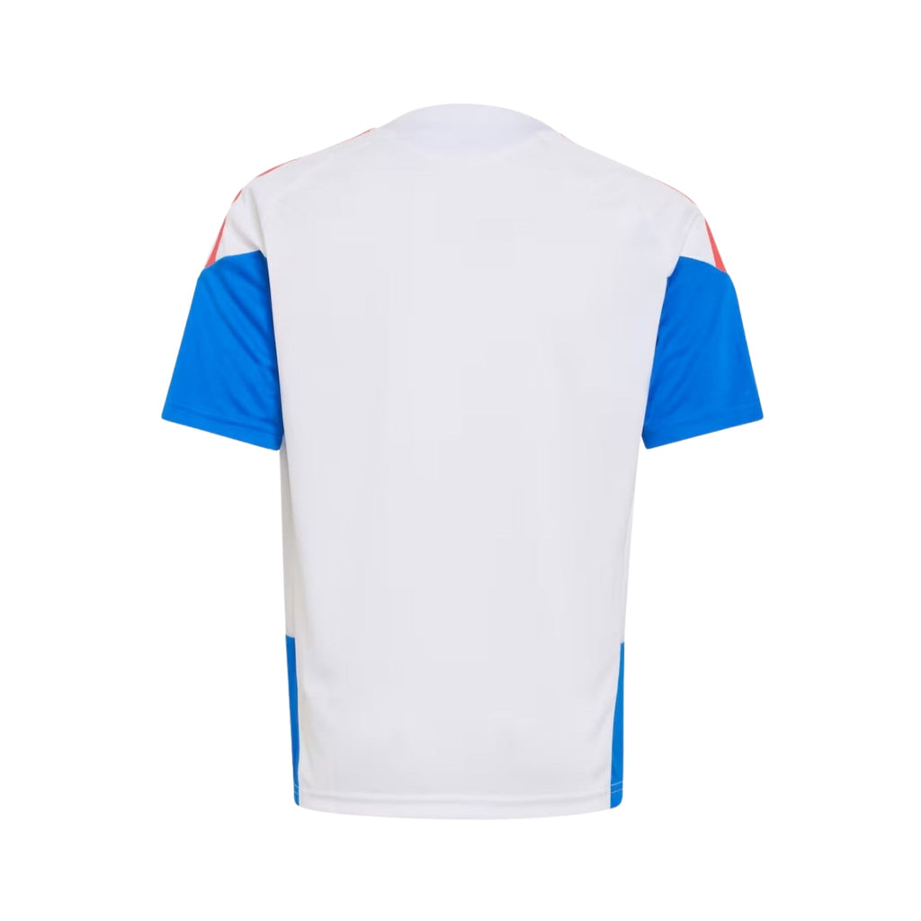 Colombia Training 26/27 Football jersey - Colombie Entraînement 26/27 - Coupe du Monde 2026