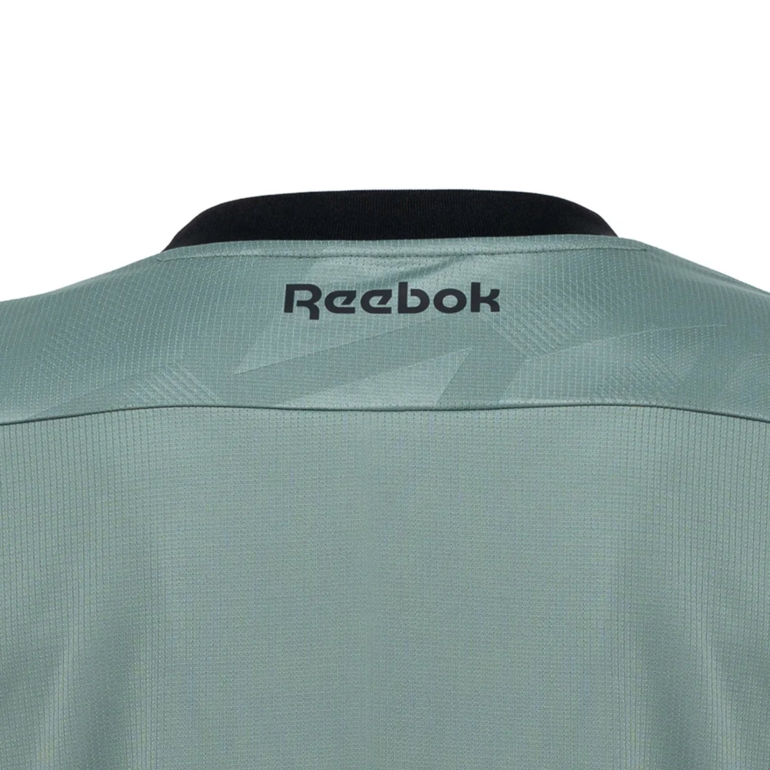 Botafogo Goleiro 24/25