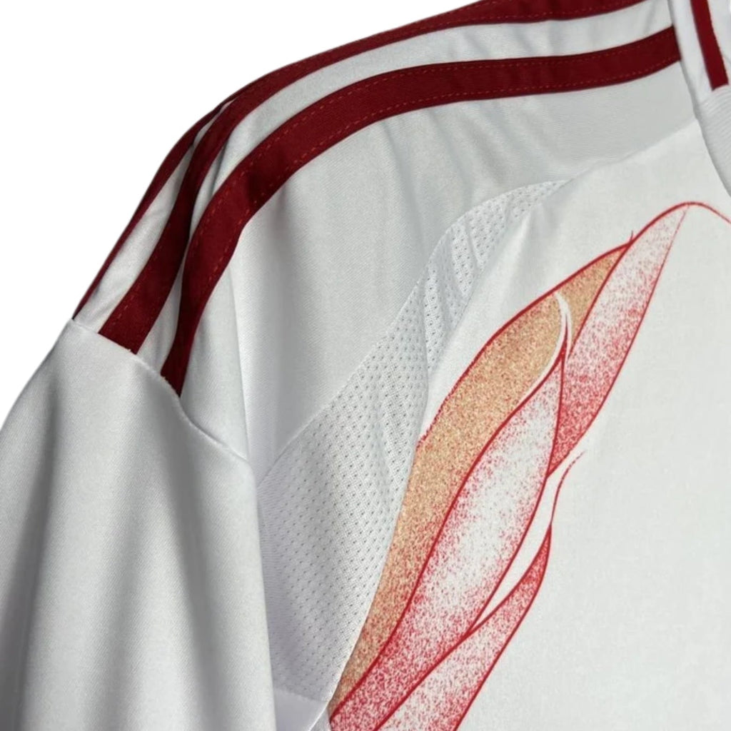 Japan Away 24/25 Football jersey - Japon Extérieur 24/25