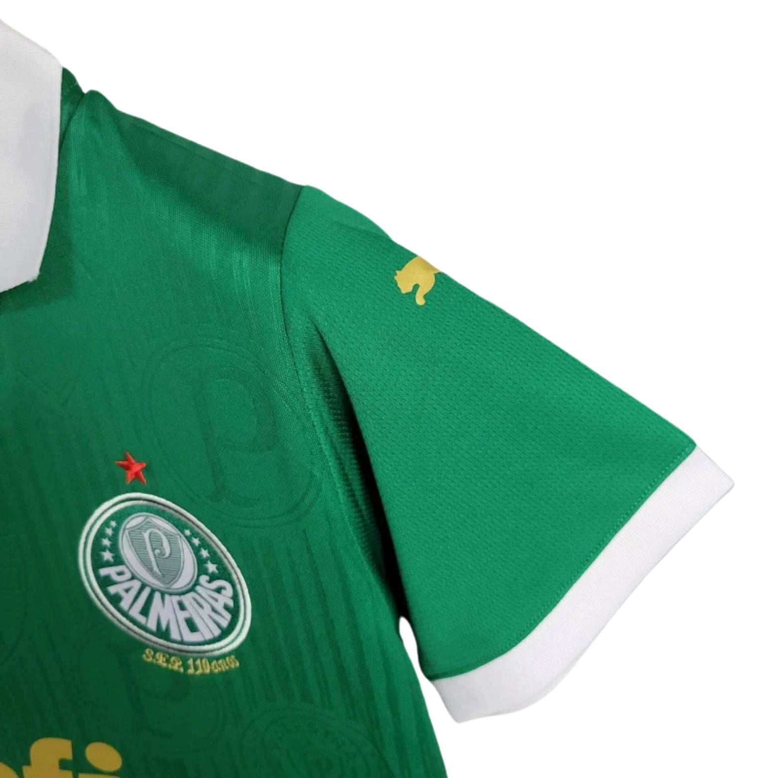Palmeiras Home 24/25 - Versão Feminina