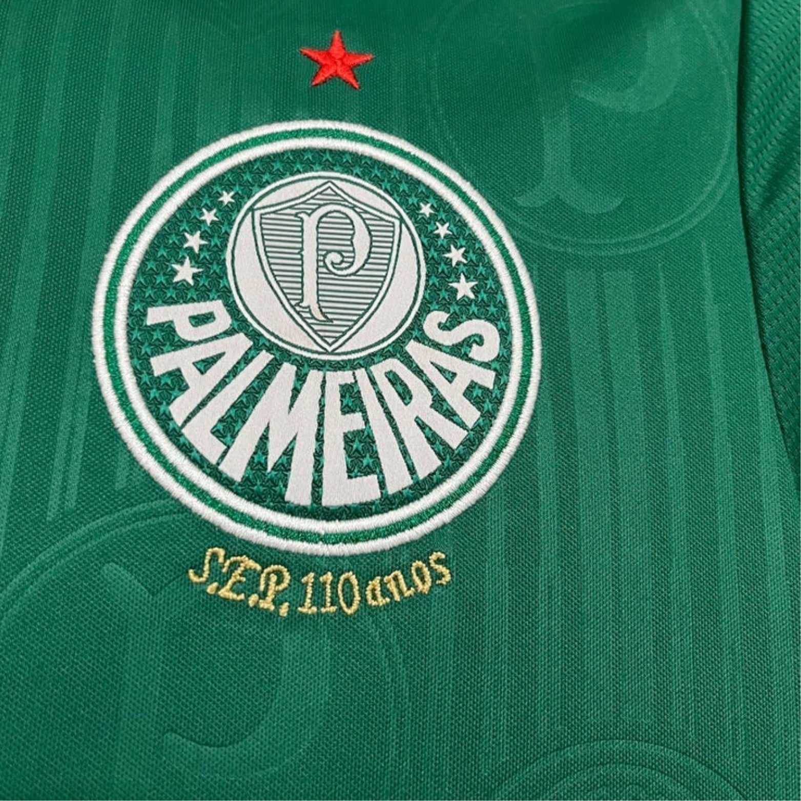 Palmeiras Home 24/25 - Todos os Patrocinadores - Versão Feminina