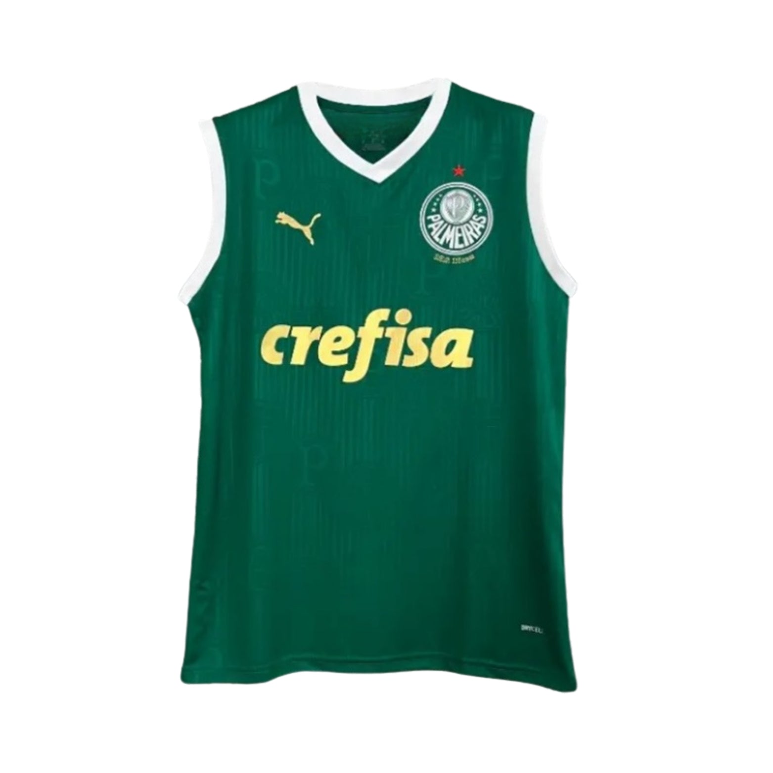 Palmeiras Treino 23/24 - Regata