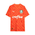 Palmeiras Goleiro 24/25