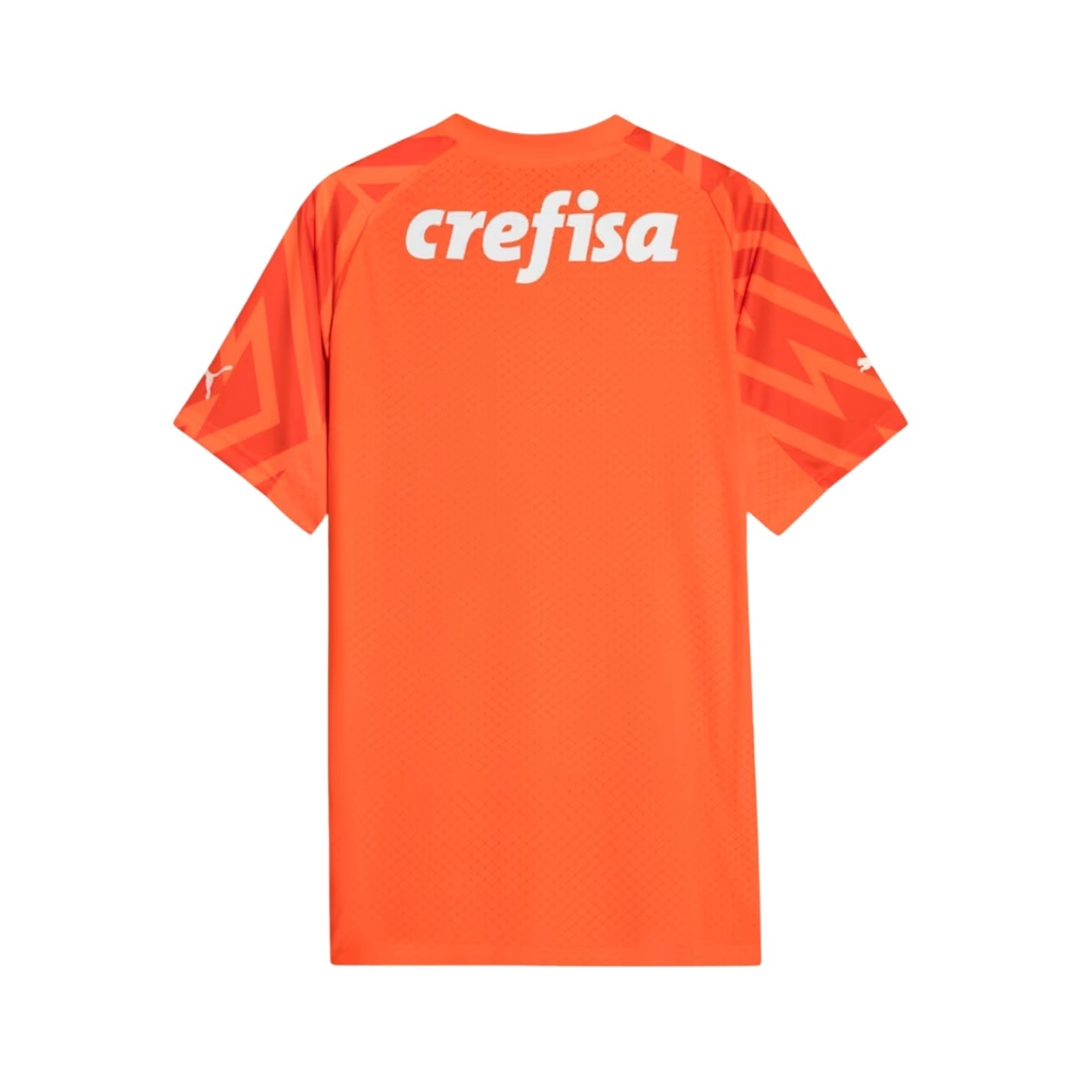 Palmeiras Goleiro 24/25