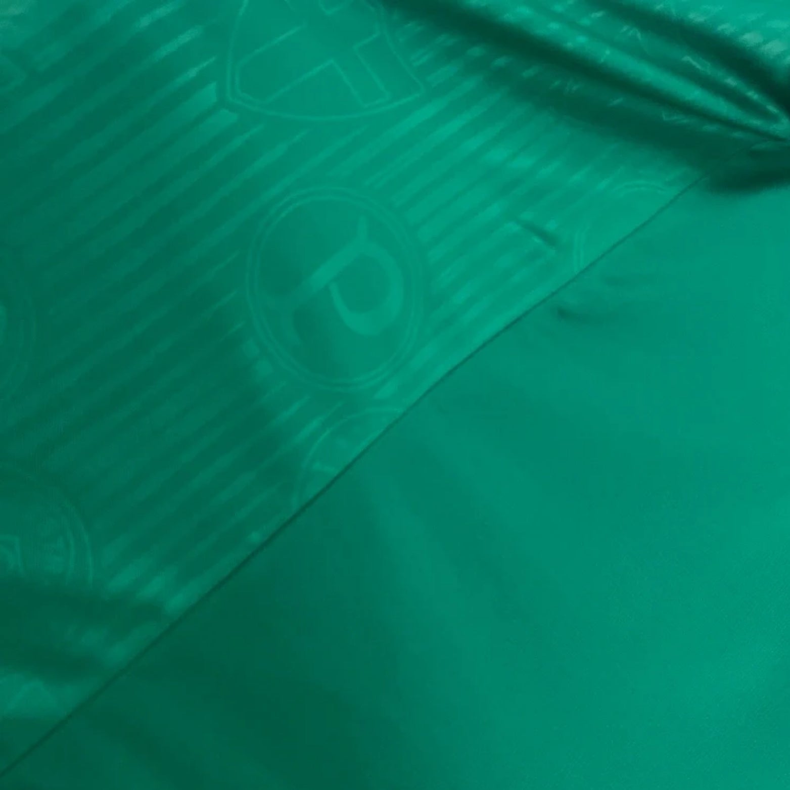 Palmeiras Treino 23/24 - Regata