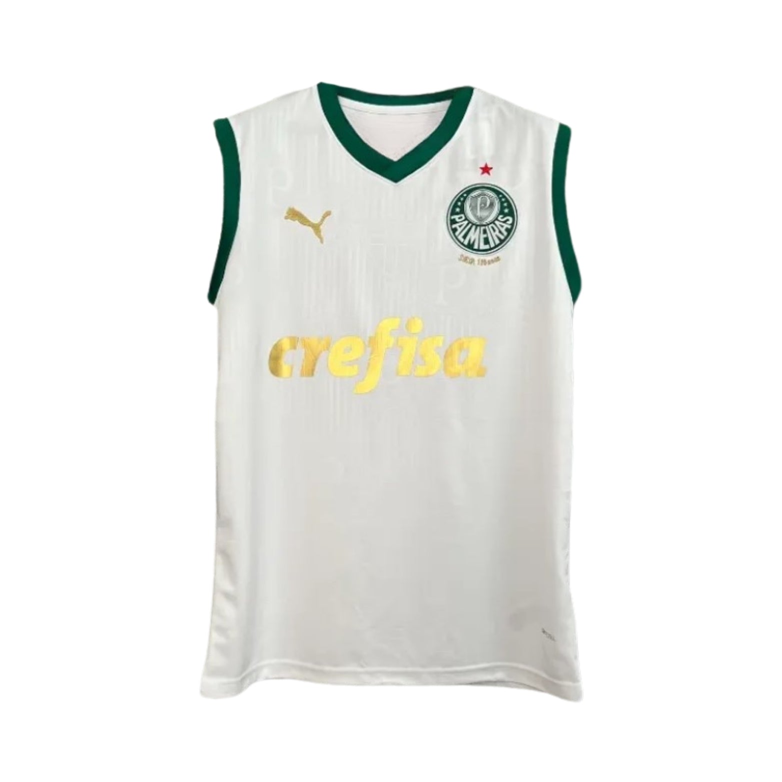 Palmeiras Treino 23/24 - Regata