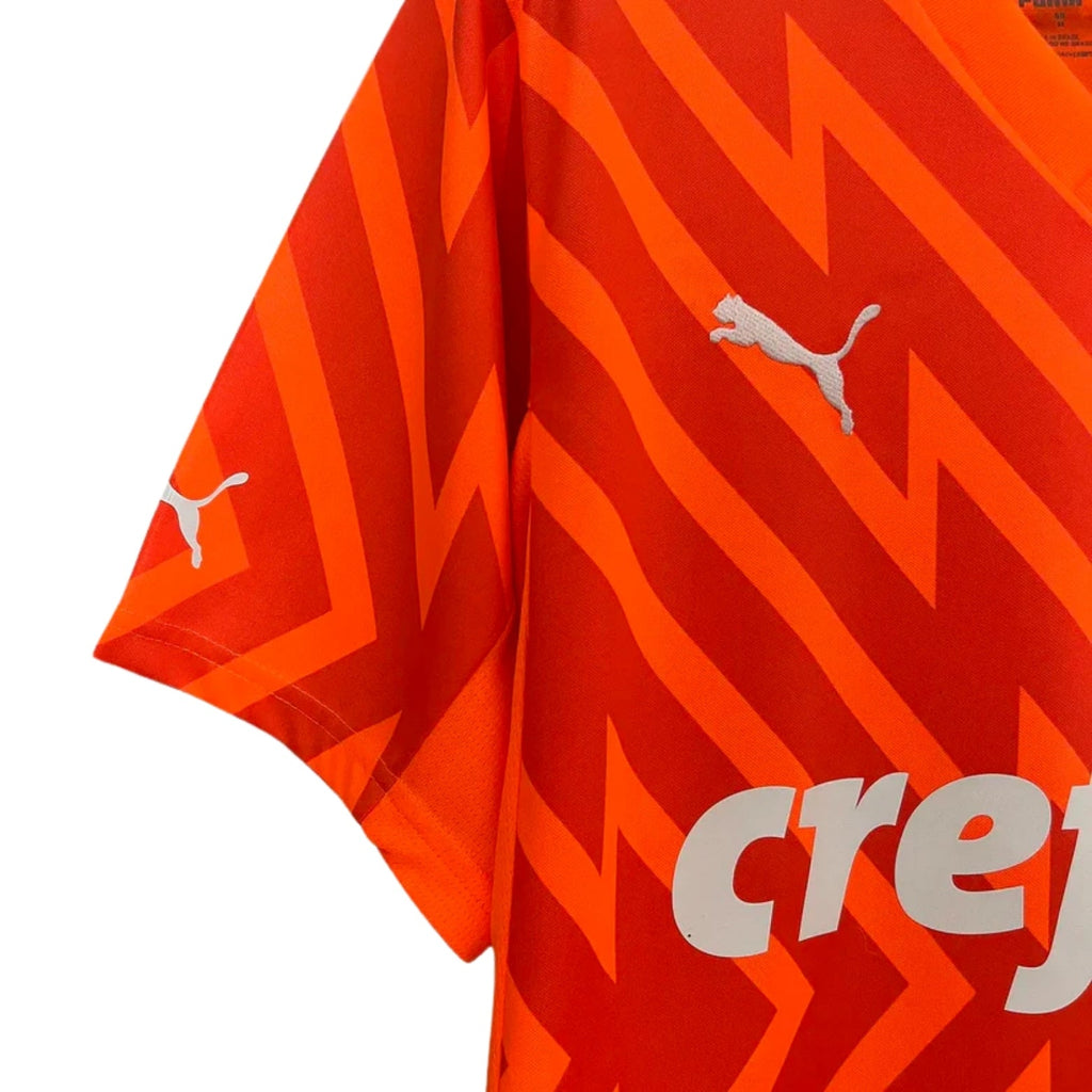 Palmeiras Goleiro 24/25