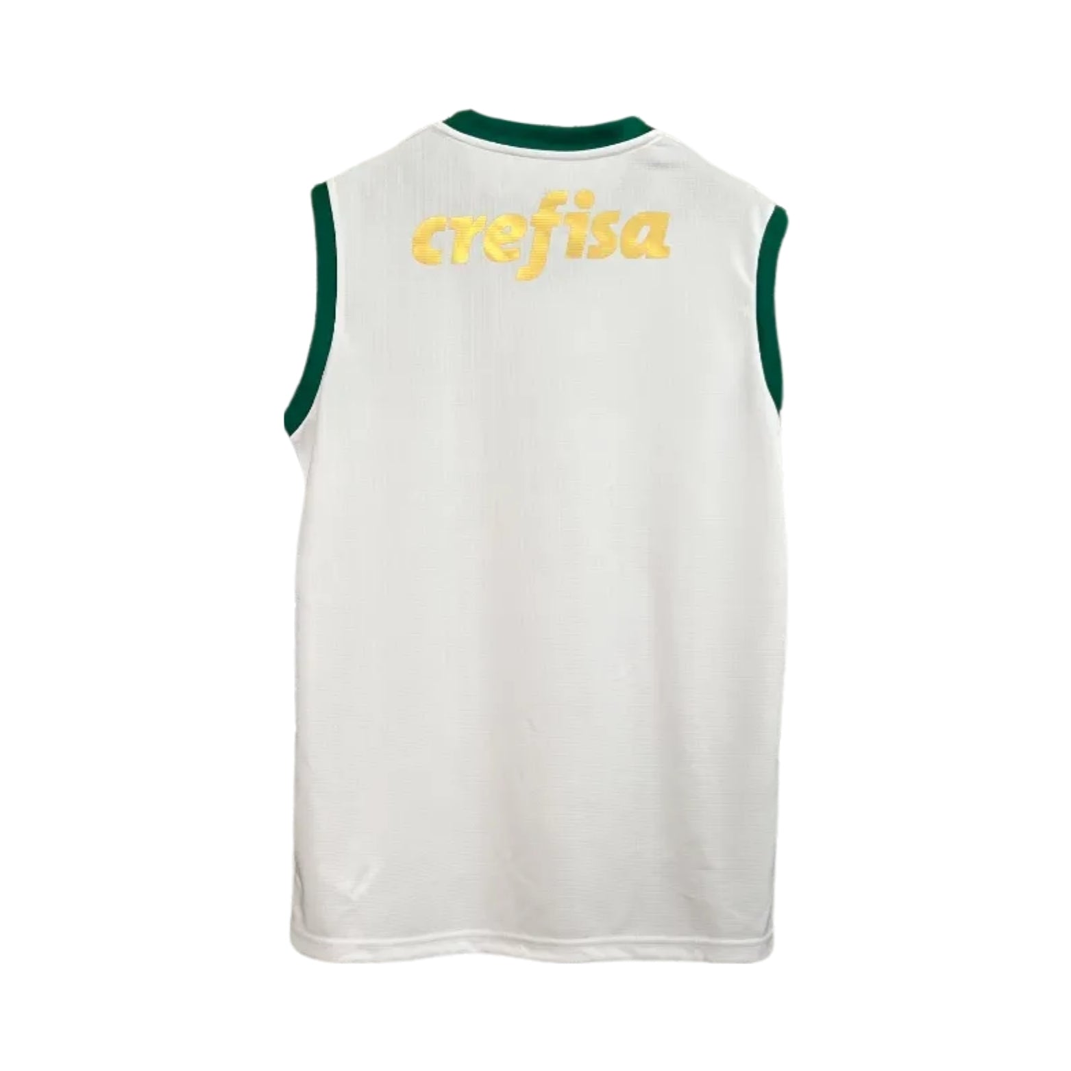 Palmeiras Treino 23/24 - Regata