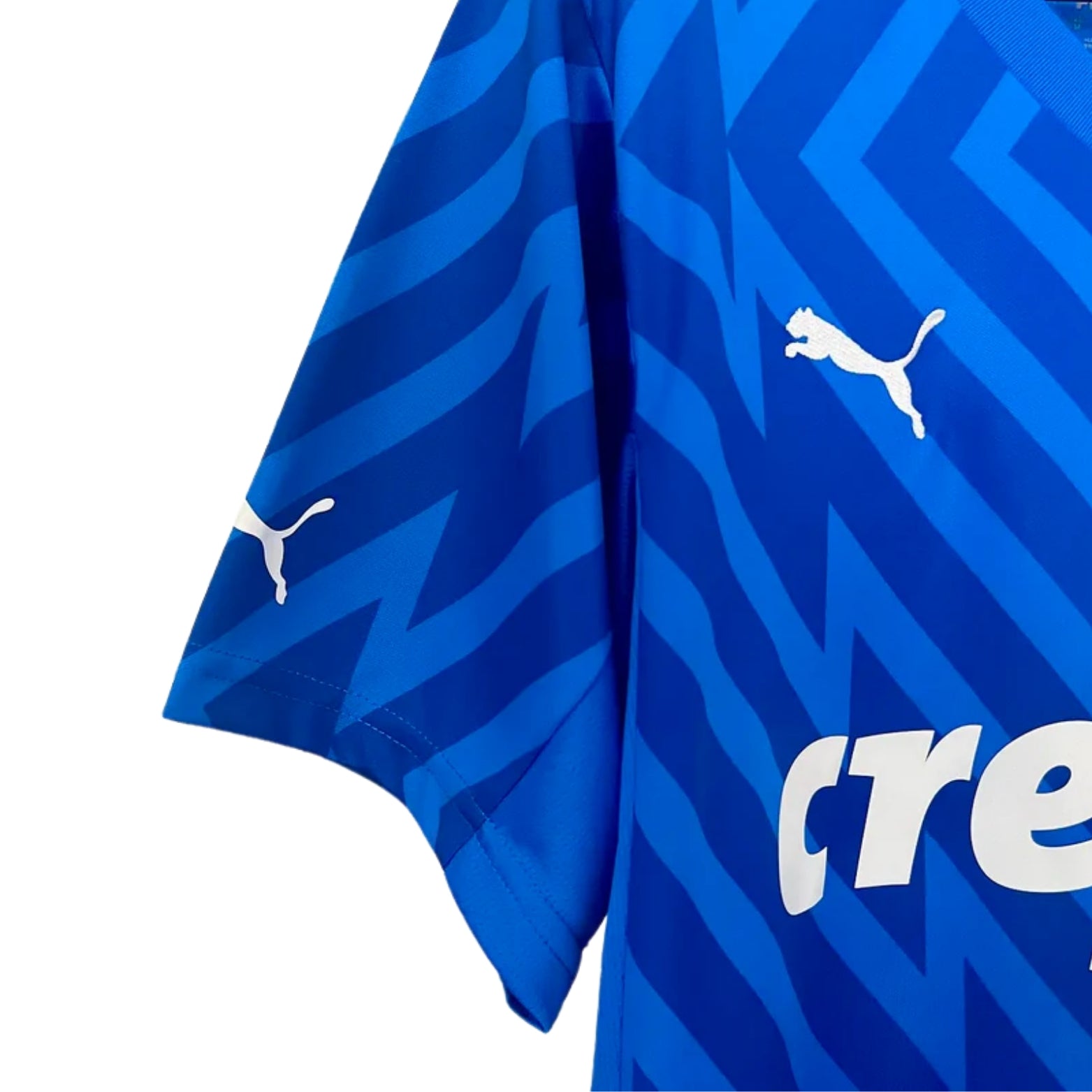 Palmeiras Goleiro 24/25