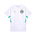 Palmeiras Treino 26/27