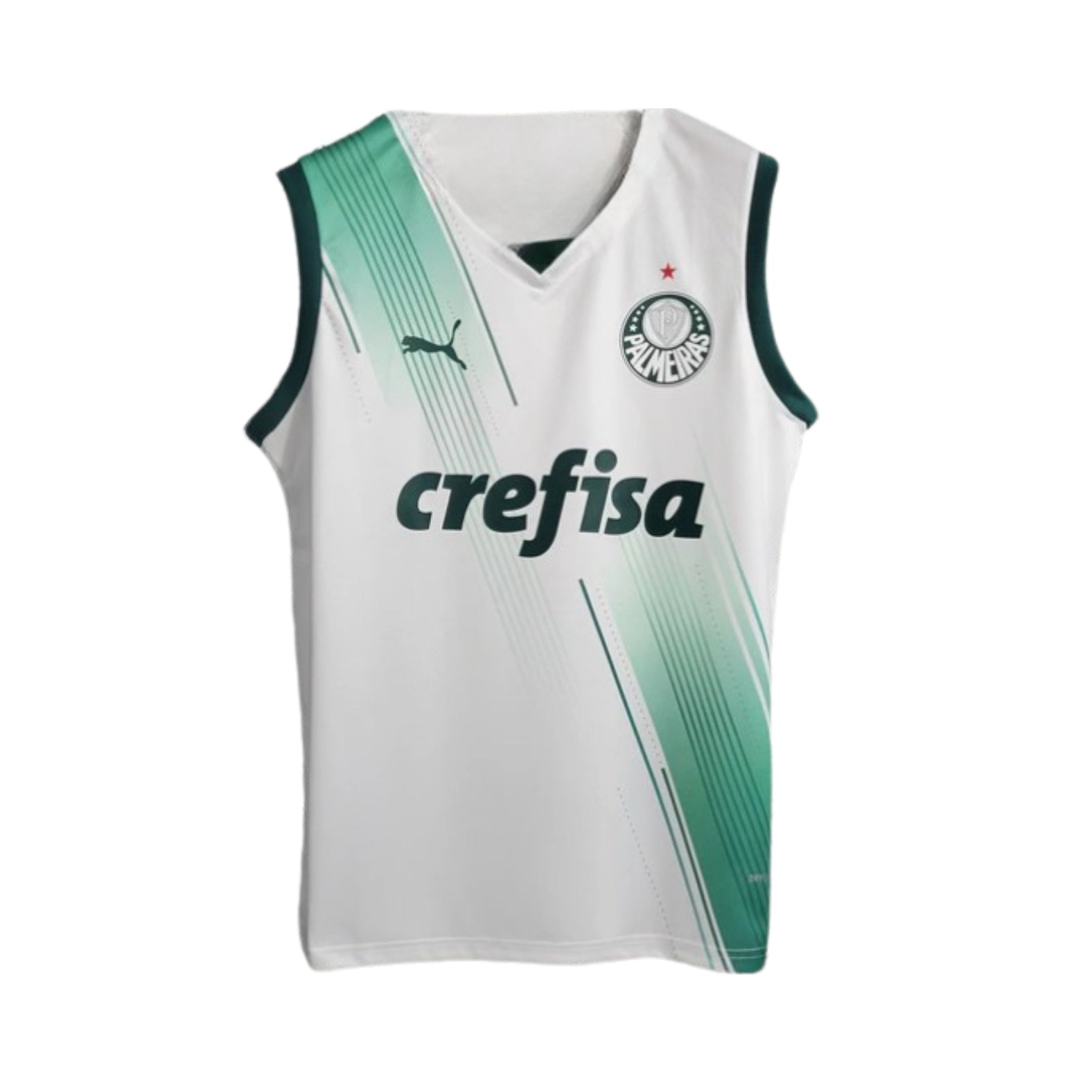 Palmeiras Treino 23/24 - Regata