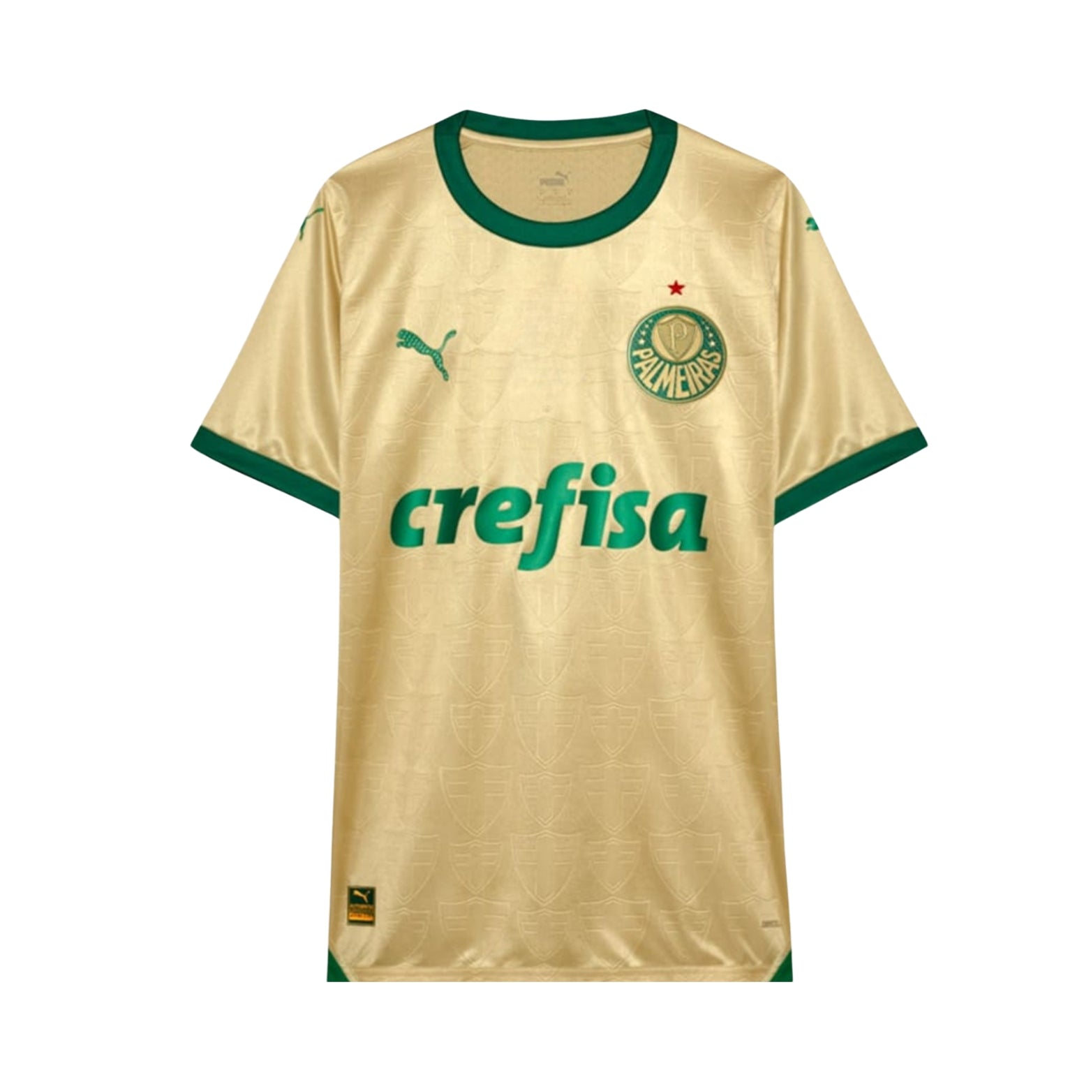 Palmeiras Terceiro Uniforme 24/25