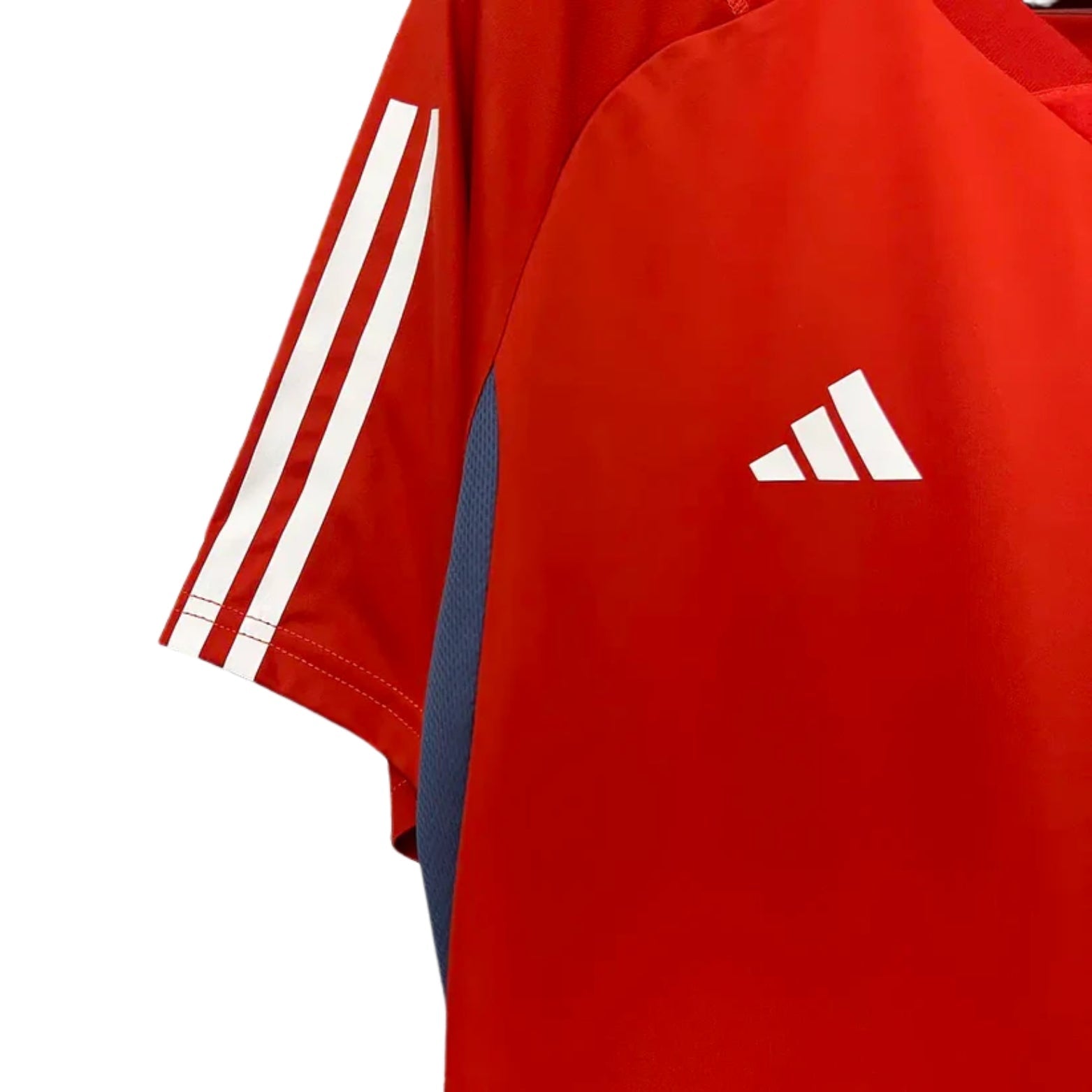 Cruzeiro Training 24/25 Football jersey - Cruzeiro Treino 24/25