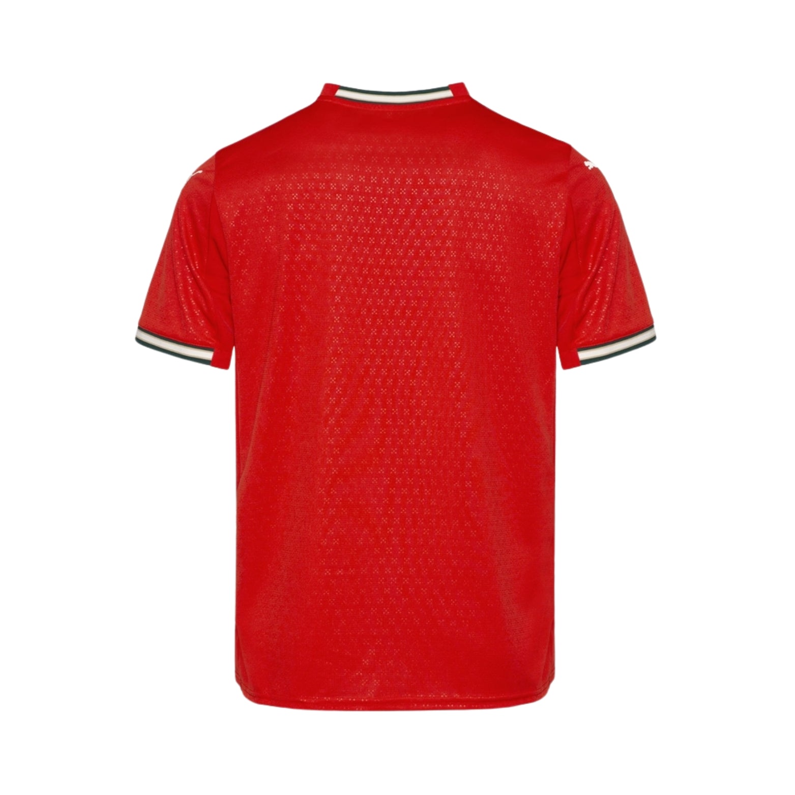 Portugal Home 25/26 Football jersey - Portugal Domicile 25/26 - Coupe du Monde 2026