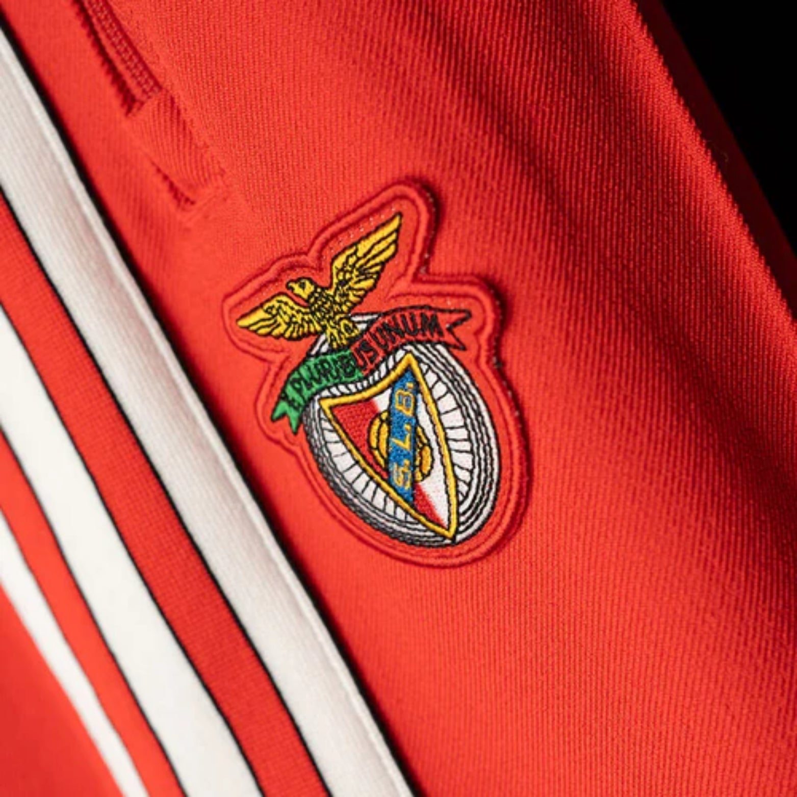 Benfica Jacket 25/26 Football jersey - Benfica 25/26 - Survêtement - Zip Complet