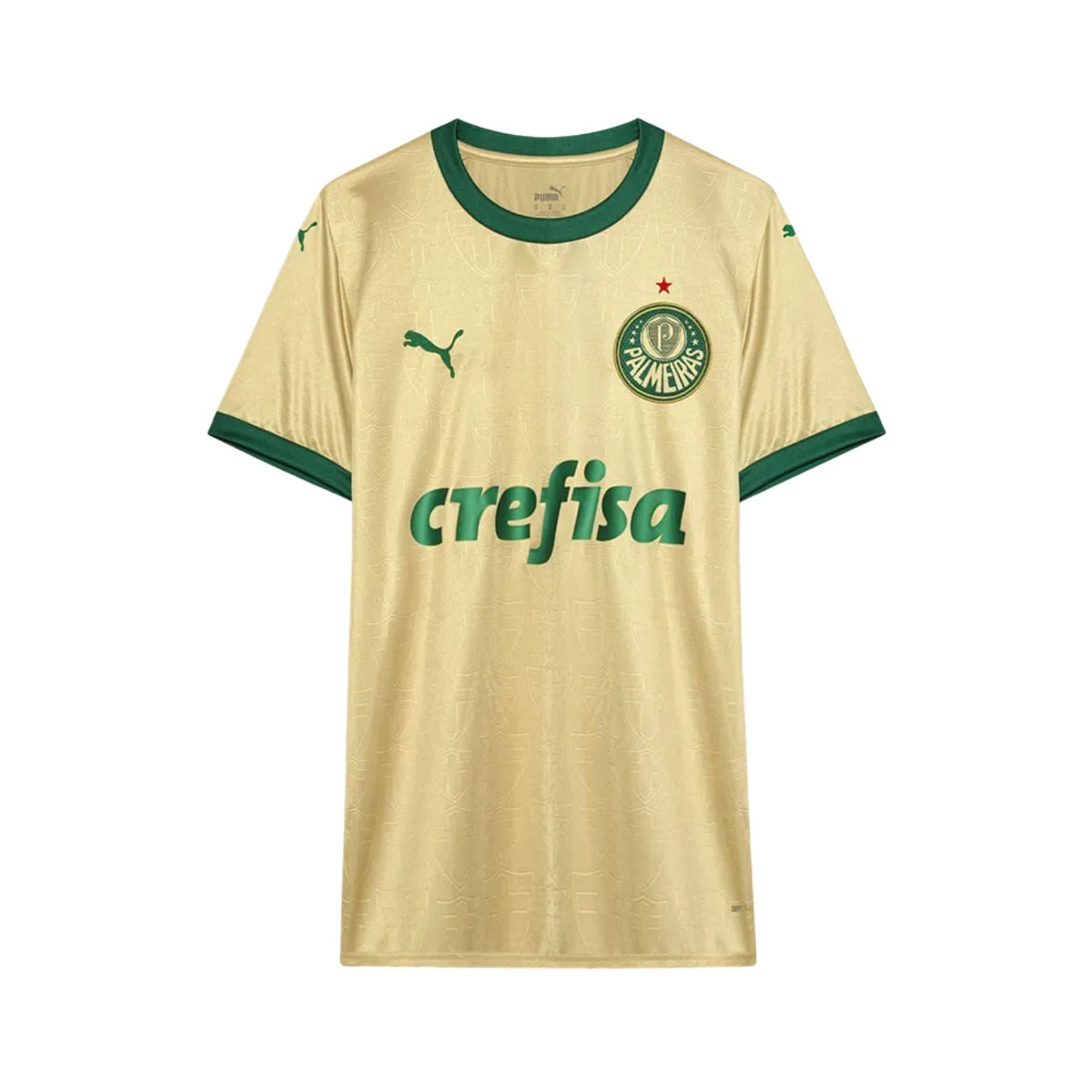 Palmeiras Terceiro Uniforme 25/26
