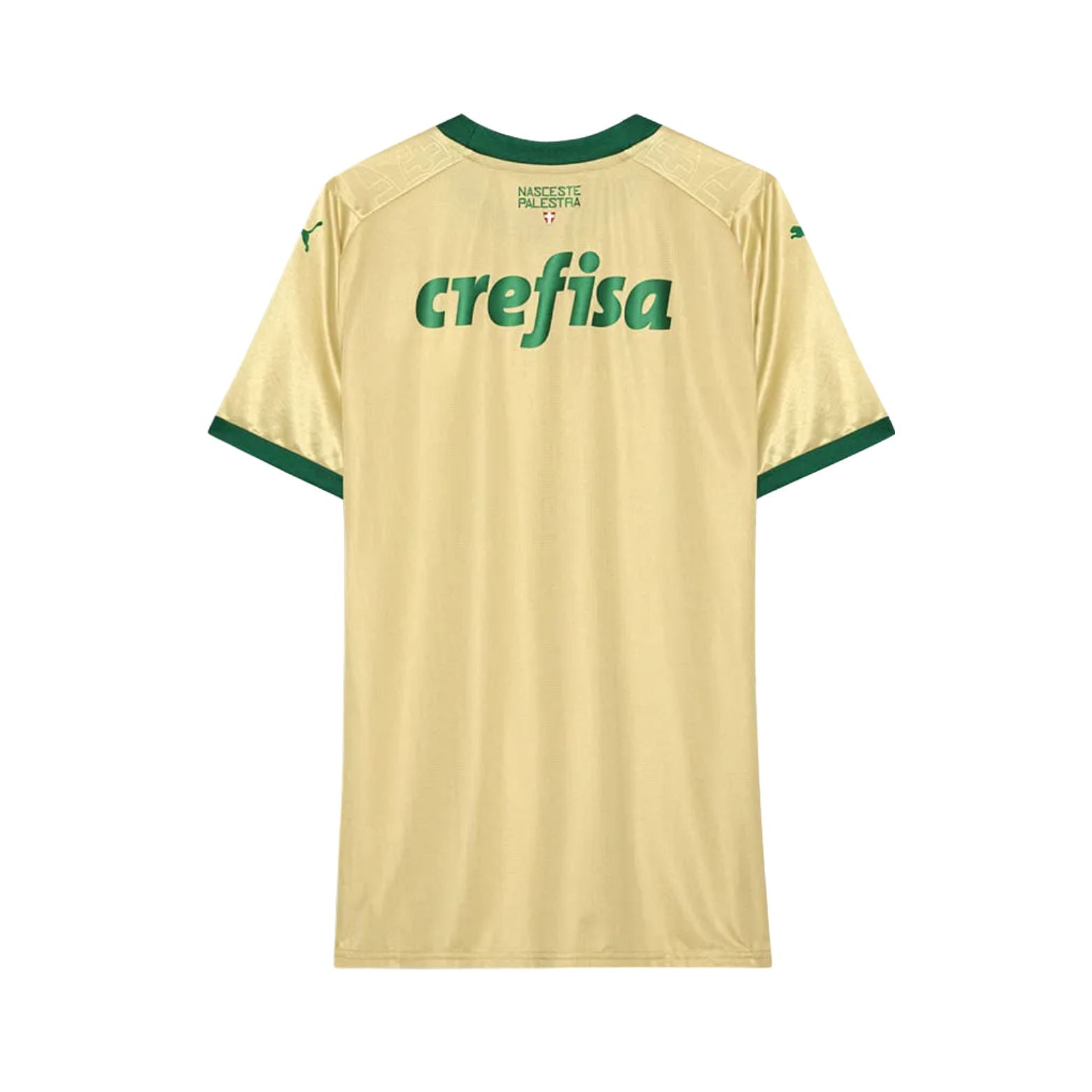 Palmeiras Terceiro Uniforme 25/26