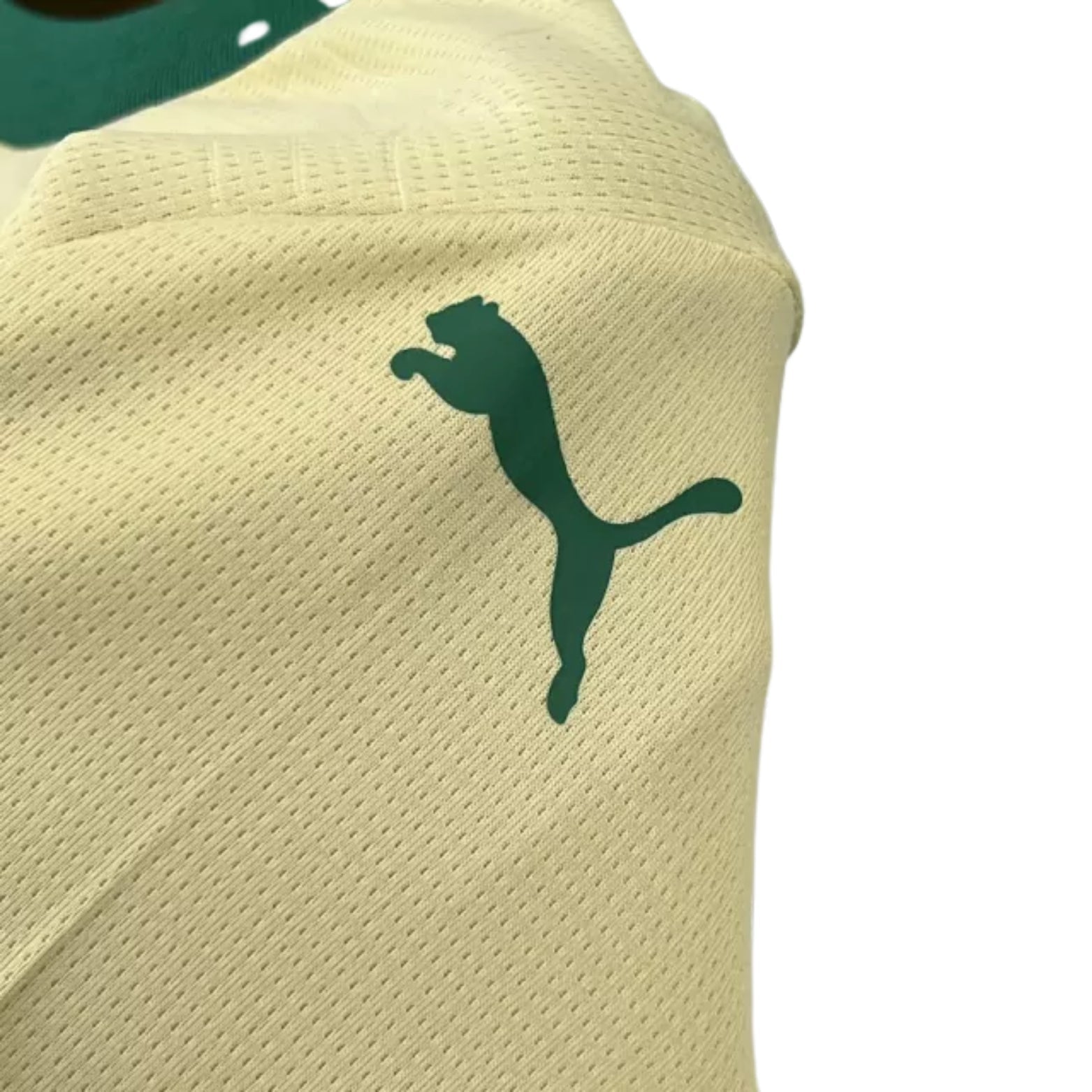 Kit - Palmeiras Terceiro Uniforme 24/25