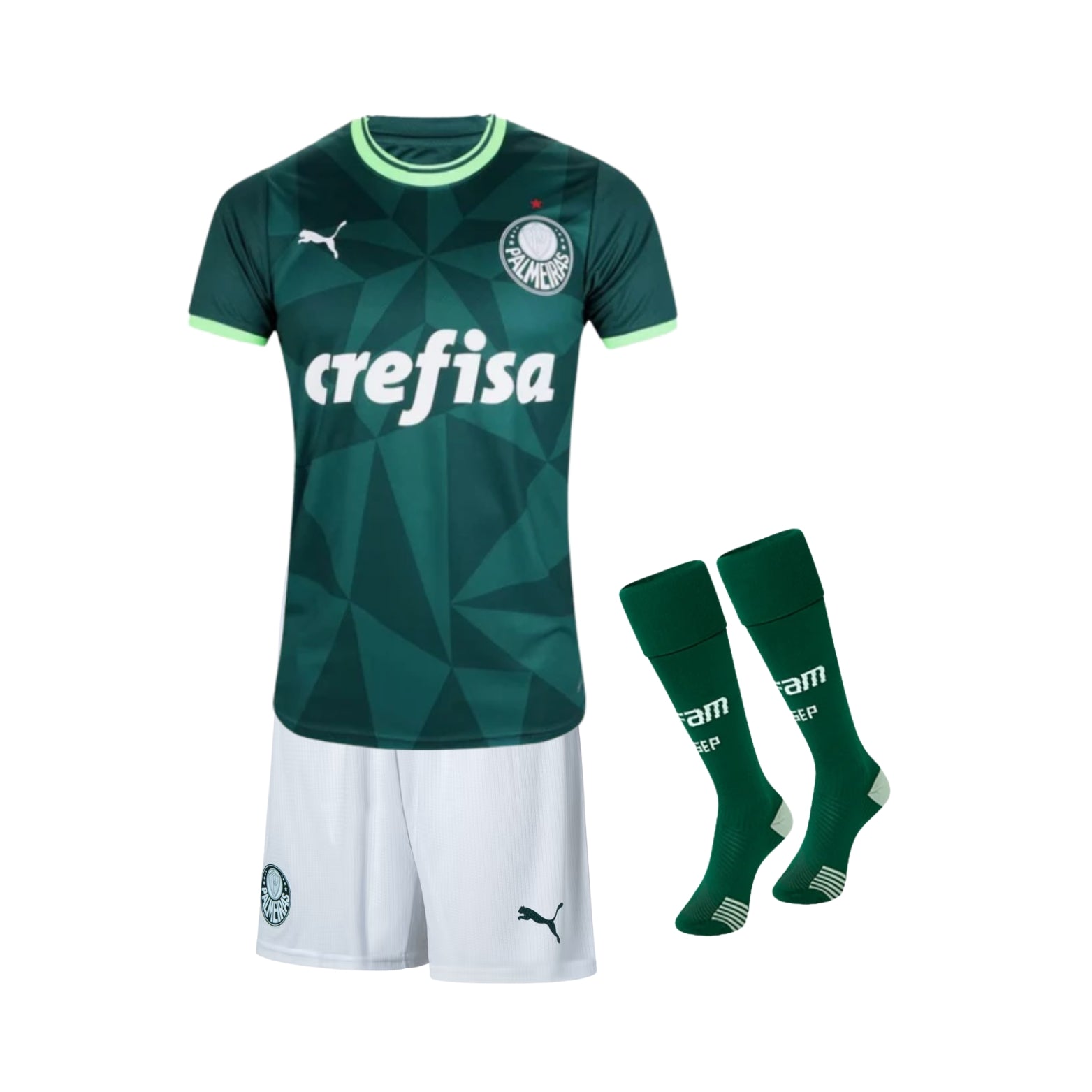 Kit - Palmeiras Home 23/24