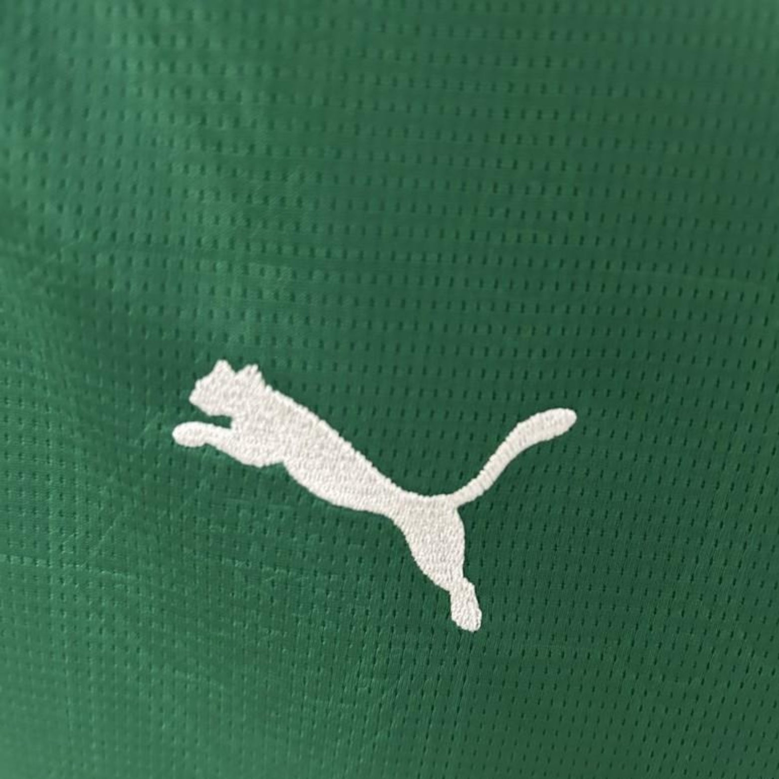 Palmeiras Home 25/26 - Versão Feminina