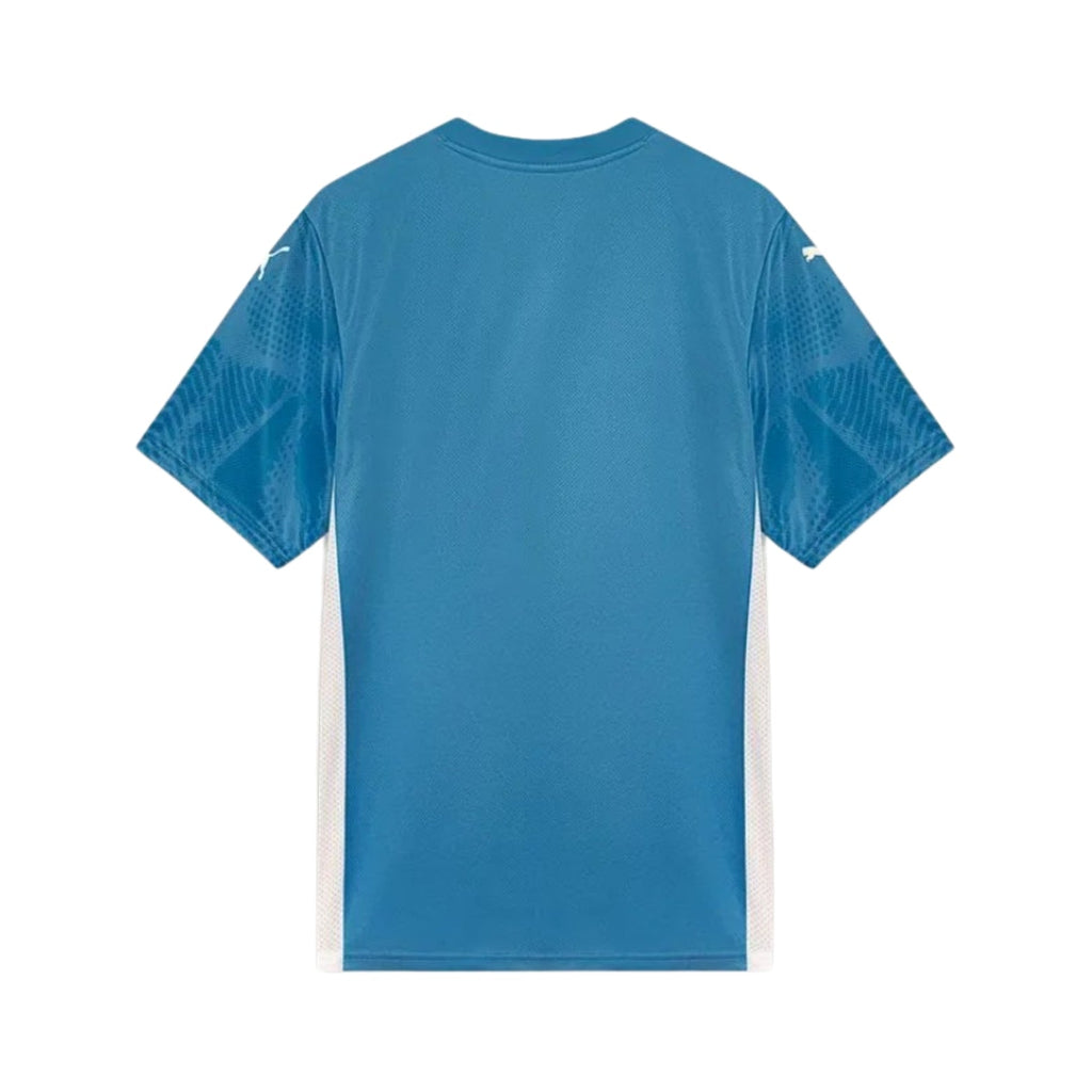 Palmeiras Goleiro 25/26