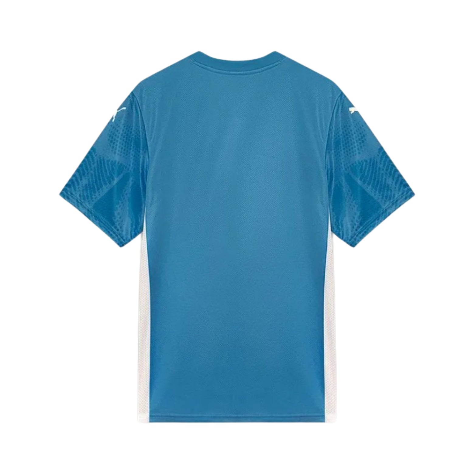 Palmeiras Goleiro 25/26