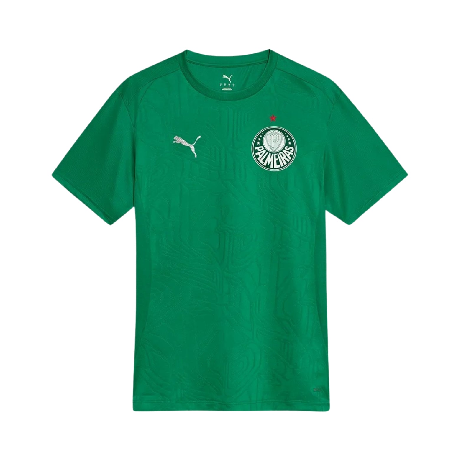 Palmeiras Treino 25/26