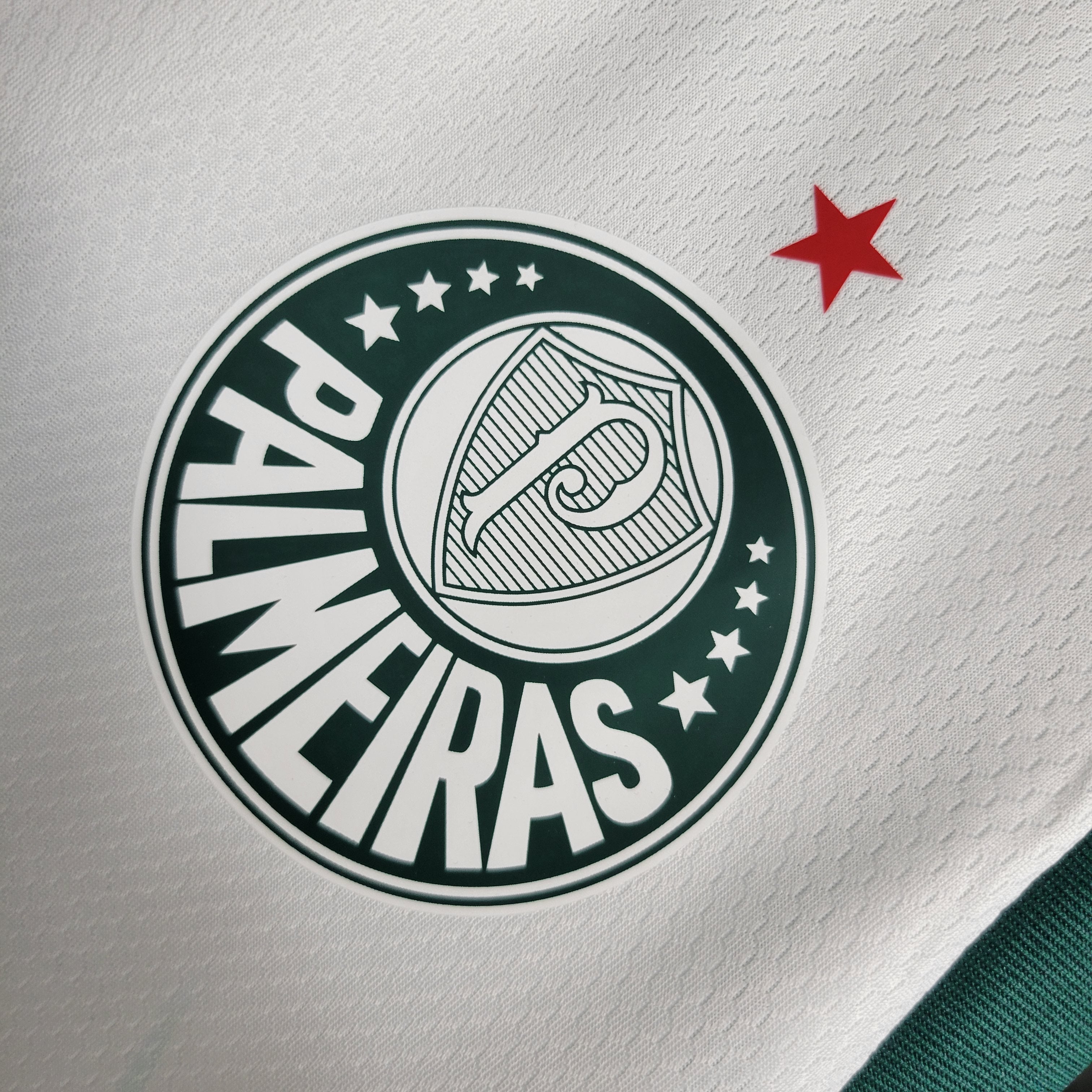 Palmeiras Treino 23/24 - Regata