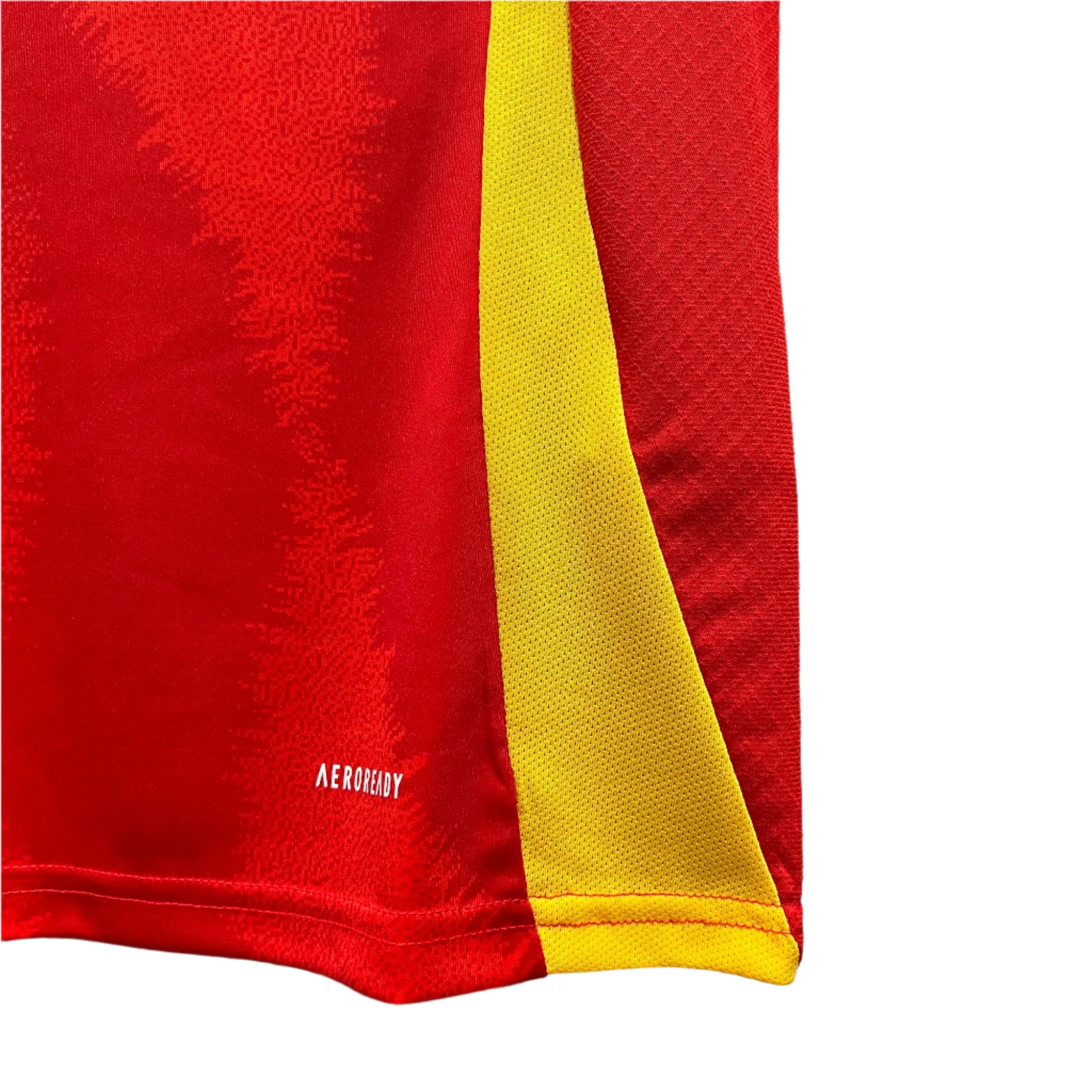 Spain Home 24/25 Football jersey - Espagne Domicile 24/25