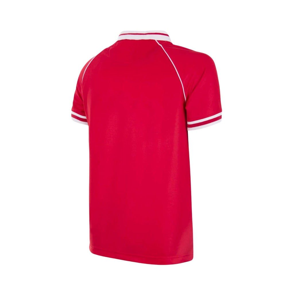 Benfica Home 94/95 Football jersey - Benfica Principal 94/95